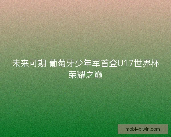 未来可期 葡萄牙少年军首登U17世界杯荣耀之巅